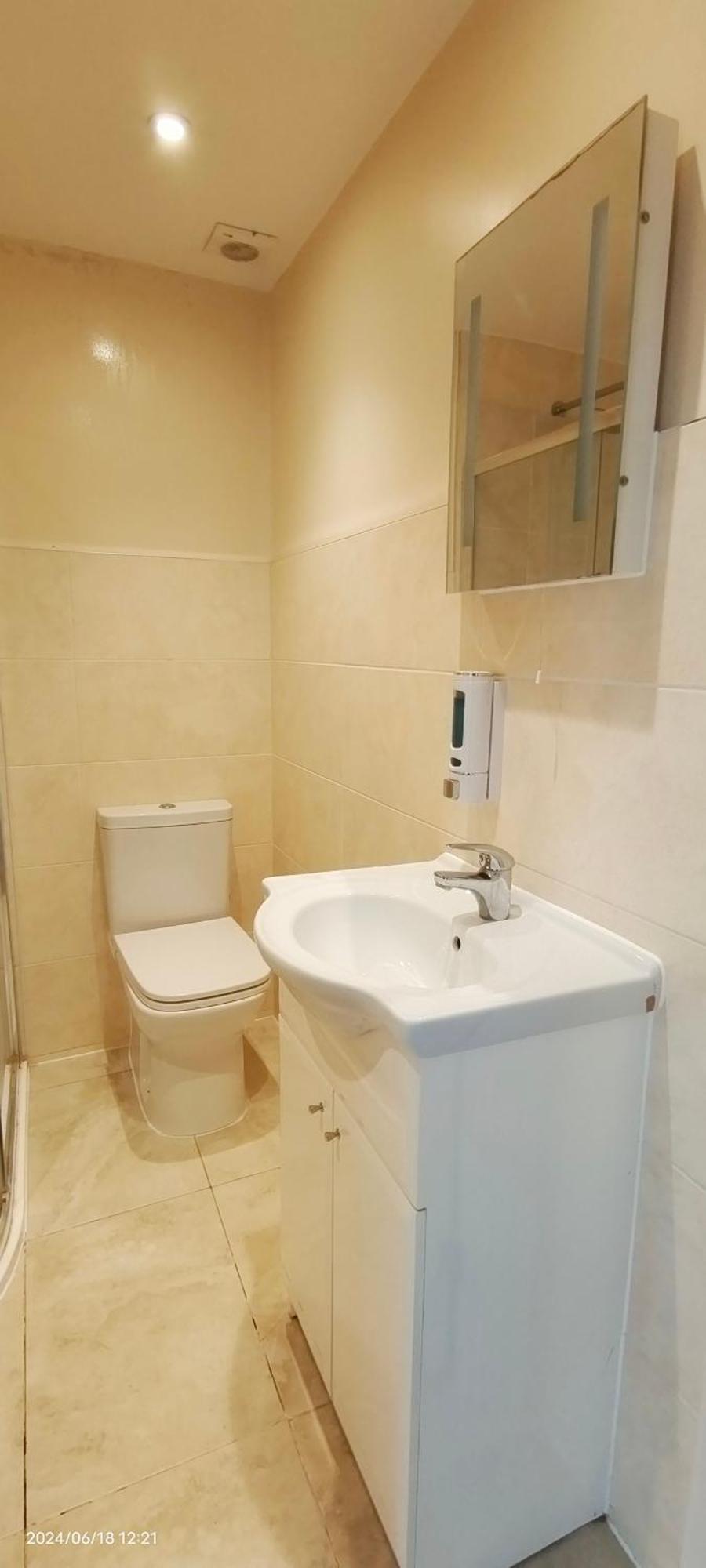 Tulip 5 Top Floor At Hammersmith لندن المظهر الخارجي الصورة